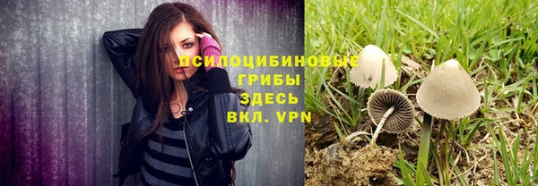 прущие крисы Балахна