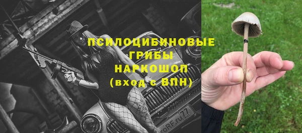 прущие крисы Балахна