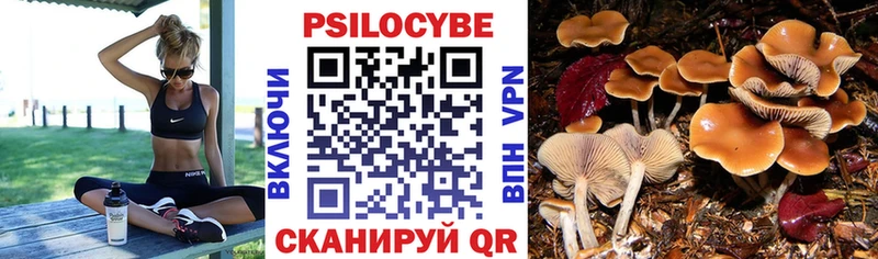 Галлюциногенные грибы Psilocybine cubensis  где можно купить   Обоянь 